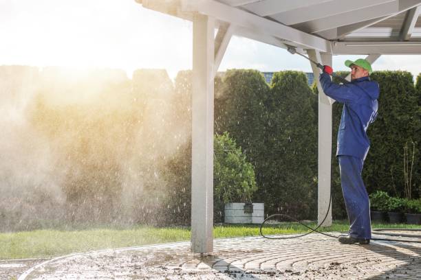 Animal Enclosure Cleaning in Kittanning, PA